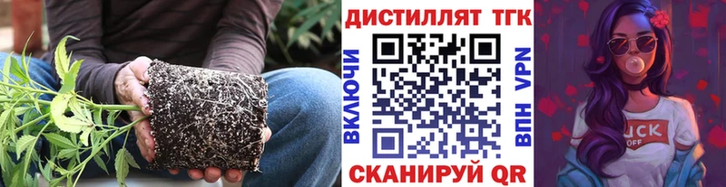 KRAKEN зеркало  Тогучин  ТГК THC oil 