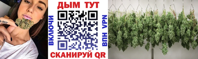 где купить наркотик  Тогучин  Бошки Шишки марихуана 